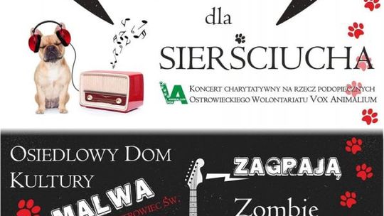 Rockowa Pucha dla Sierściucha