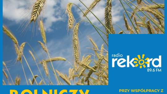 "Rolniczy kwadrans" - młody rolniku sięgnij po premię i zgarnij 150 tysięcy złotych! 
