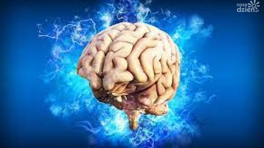 Rozpoczął się Tydzień Mózgu 