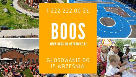 Rozpoczęło się głosowanie w Budżecie Obywatelskim Ostrowca Świętokrzyskiego