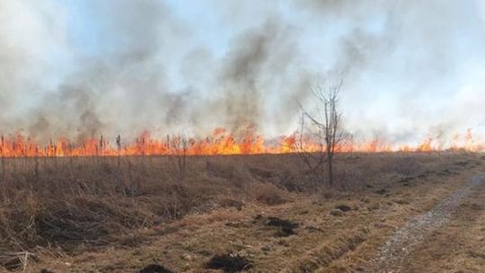 Rozpoczyna się sezon wypalania traw. Są już pierwsze ofiary śmiertelne