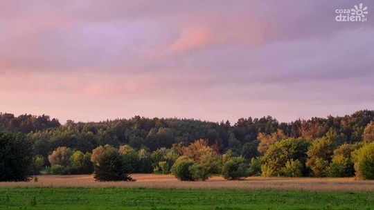 Rudzki Park Kulturowy chce dbać nie tylko o zabytek UNESCO ale też o lokalne dziedzictwo 