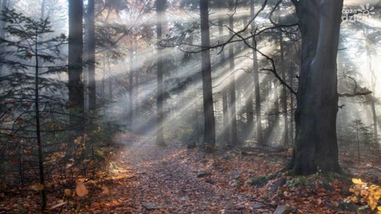 Rusza przetarg na budowę Centum Edukacyjnego przy ŚPN