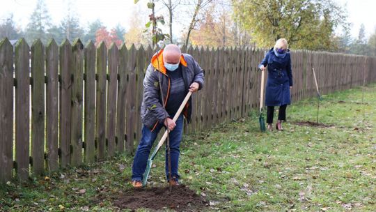 Ruszyła akcja sadzenia drzew i krzewów miododajnych w świętokrzyskim