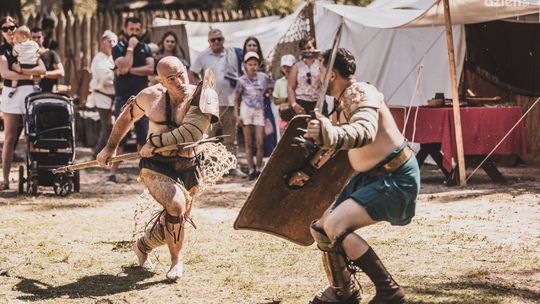 Rzymianie zagościli na Krzemionkach 