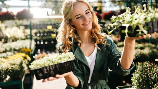 Sadzonki – Twoja ogrodowa przygoda zaczyna się z Setzlingeonline.de