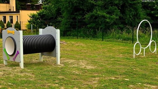 Sandomierskie czworonogi mają miejski wybieg 