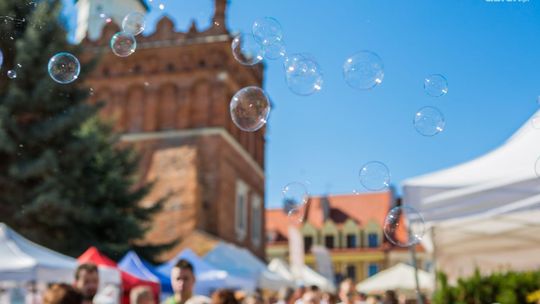 Sandomierz stanie się stolicą czekolady 