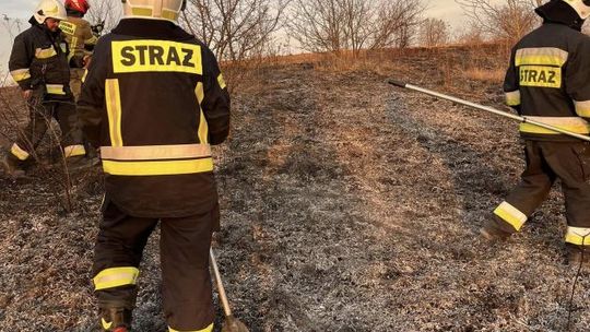 Sarna spłonęła w pożarze w Szeligach