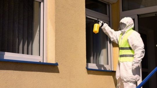 Sekcja Dezynfekcja w powiecie starachowickim