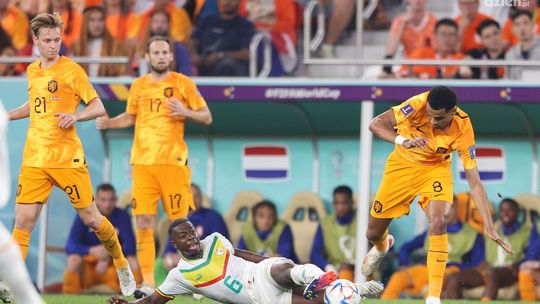 Senegal - Holandia 0:2 w obiektywie Wajdy