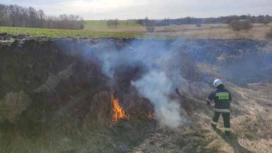 Seria pożarów traw