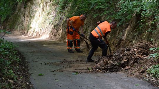 Służby drogowe porządkują powiatowe drogi  