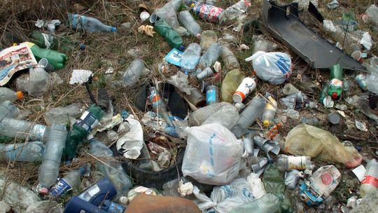 Śmieci mogą słono kosztować. Wysokie kary dla przedsiębiorców. 