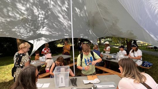 SOWA jest w ostrowieckim parku miejskim