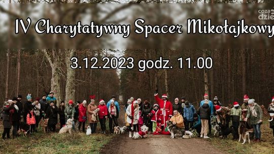 Spacer z czworonogami z charytatywnym przesłaniem
