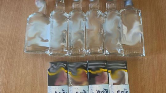 Spacerując z psem, zatrzymał włamywacza