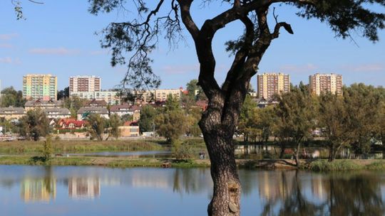 Spacery po starachowickim Wierzbniku 