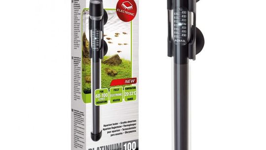 Sposoby ogrzewania do terrarium. Jakie rozwiązanie będzie najlepsze?