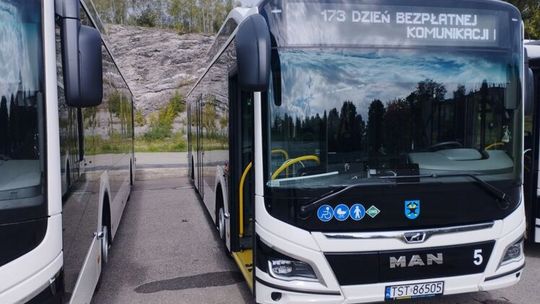 Starachowice: Bezpłatna komunikacja zyskuje dużą popularność