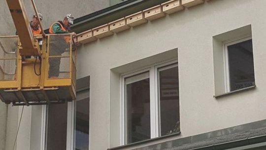 Starachowice mają sposób na eko-walkę z komarami