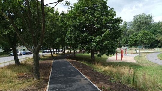 Starachowice: Ścieżki rowerowe - TAK, wycinka drzew - NIE