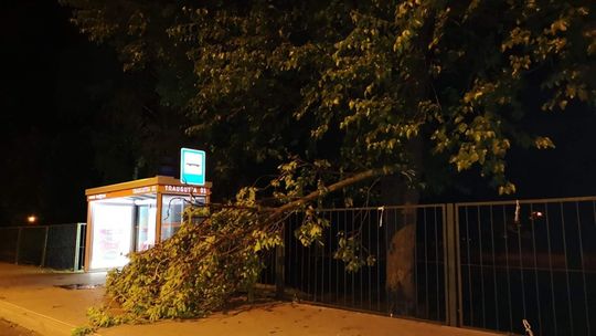 Straty po burzy są duże