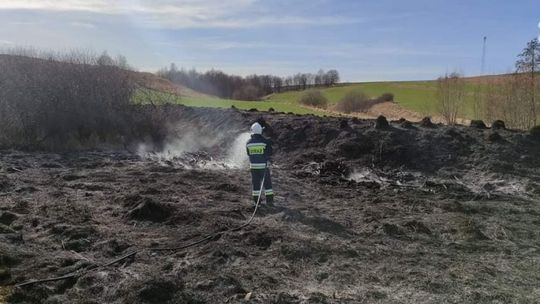 Strażacy gasili nie tylko pożary budynków ale również nieużytków 