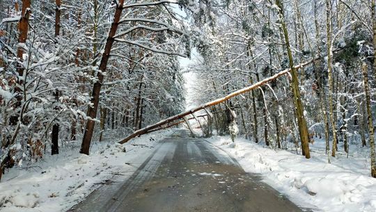 Strażacy nadal usuwają skutki ostatniej śnieżycy 