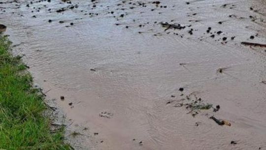 Strażacy usuwali skutki nawalnych deszczy