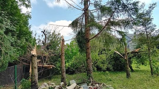 Strażacy z Kielc podsumowali weekendowe interwencje