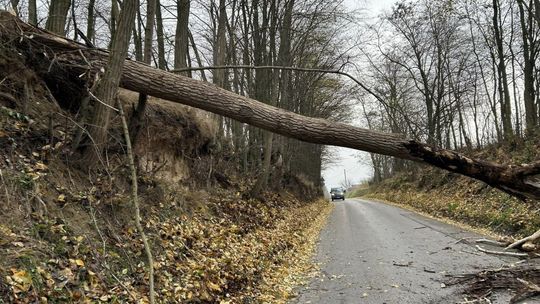 Strażacy zmagali się ze skutkami wichury w powiecie ostrowieckim