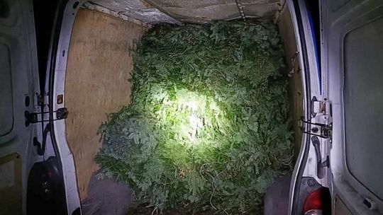 Stroisz znaleziony w busach i komórce