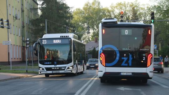 Sukces bezpłatnej  miejskiej  komunikacji w Starachowicach 
