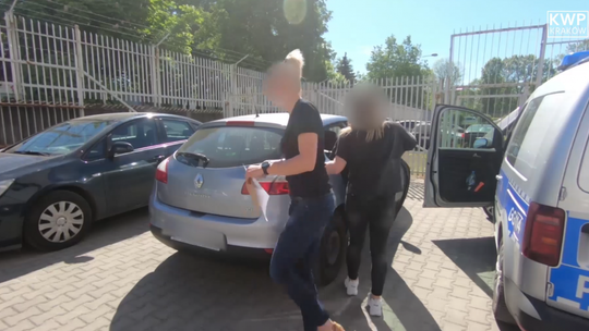 Świadczyli „usługi masażu”. Policjanci rozbili szajkę sutenerów