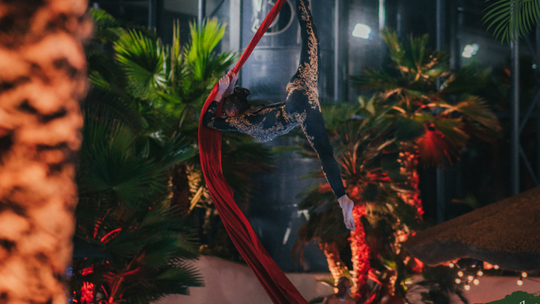 Święta w kompleksie Binkowski Resort Kielce