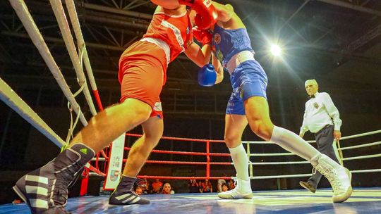 Świetne wyniki pięściarzy KSZO na turnieju Bronisława Kubickiego