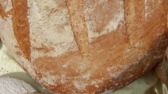 Święto chleba w Tokarni