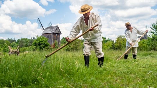 Święto Rodziny i sianokosy w Tokarni
