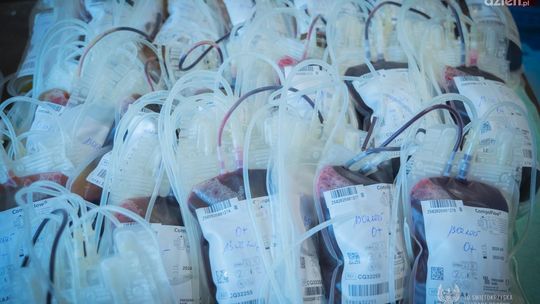 Świętokrzyscy terytorialsi oddali krew