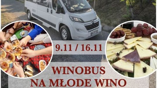 Świętokrzyskie winnice zapraszają 