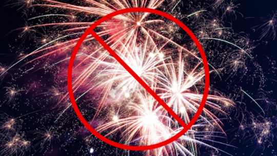 Sylwester bez huku. Szanujmy środowisko naturalne i jego mieszkańców