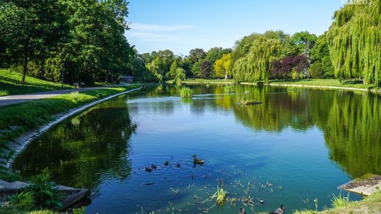 Szansa na modernizację stawu w Parku Miejskim