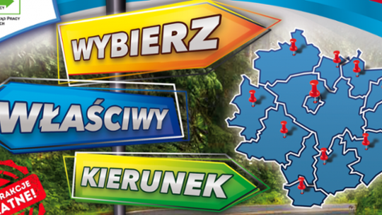 Szansa na rozwój i karierę. W Ostrowcu odbędzie się Piknik Edukacyjno-Zawodowy