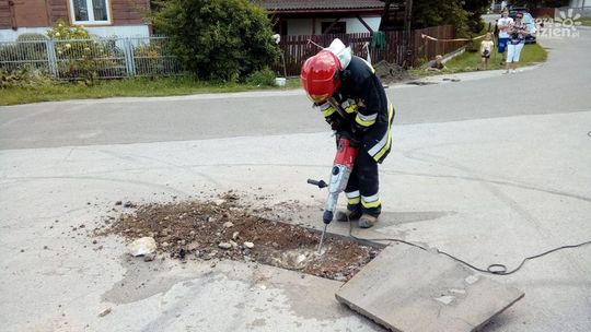 Szczenięta w przepuście. Pomogli strażacy