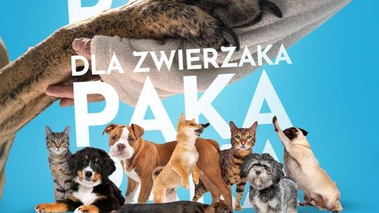 Szkoła Pascal organizuje zbiórkę Paka dla zwierzaka