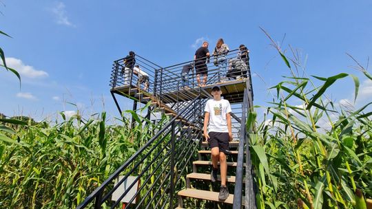 Szlaki turystyki w Świętokrzyskiem w aplikacji turystycznej