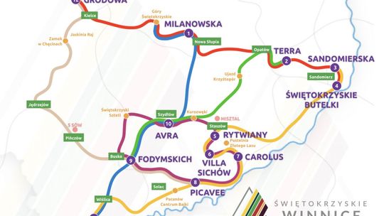 Szlakiem świętokrzyskich winnic 