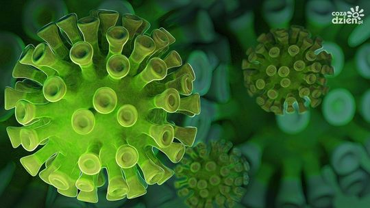 Szokujące statystyki. Tylu zakażeń nie było od dawna!