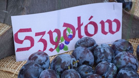 Szydłów stolicą polskiej śliwki. Już dziś rozpoczyna się wielkie święto! Szydłów stolicą polskiej śliwki. Już dziś rozpoczyna się wielkie święto!